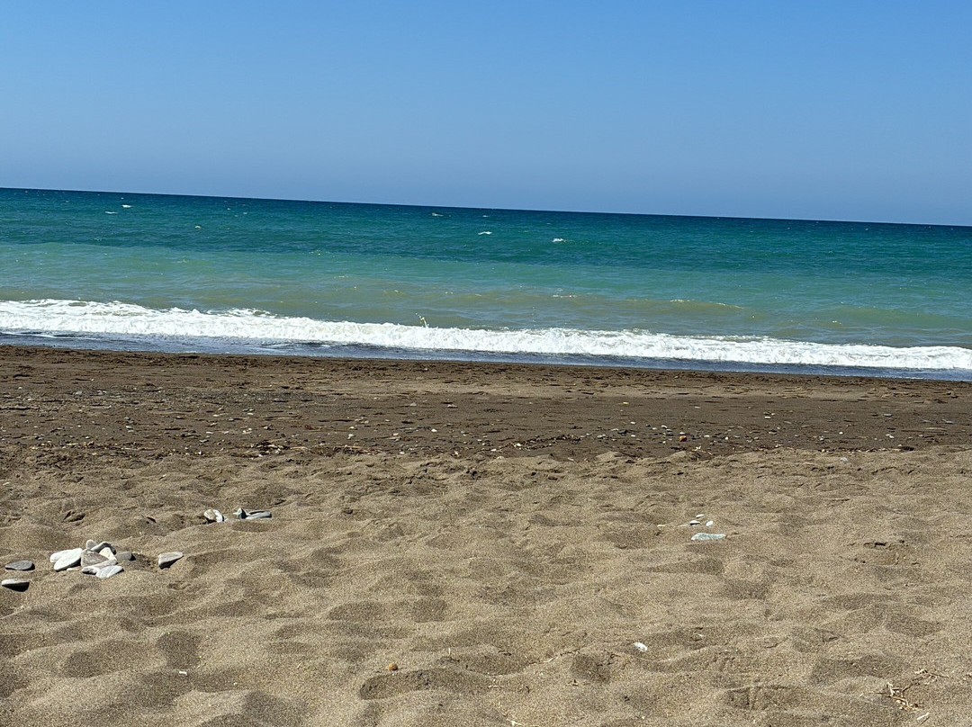 Riserva Naturale Tombolo di Cecina-Marina di Cecina必去景点