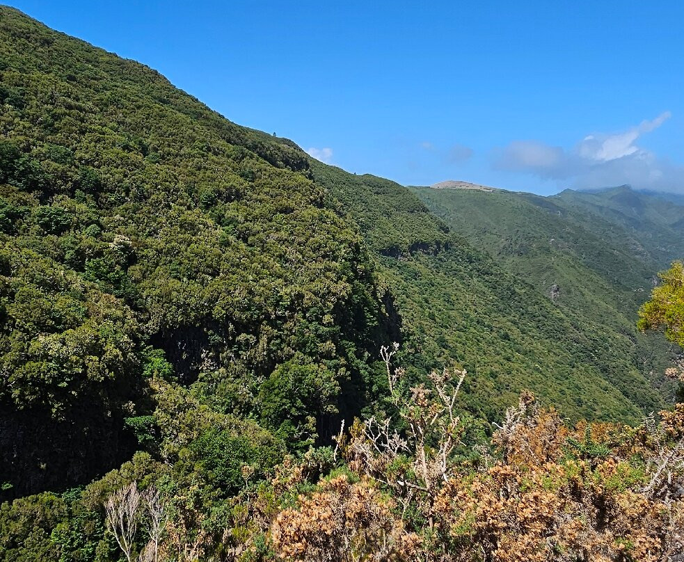 Madeira Wonder Hikes-沙尔必去景点