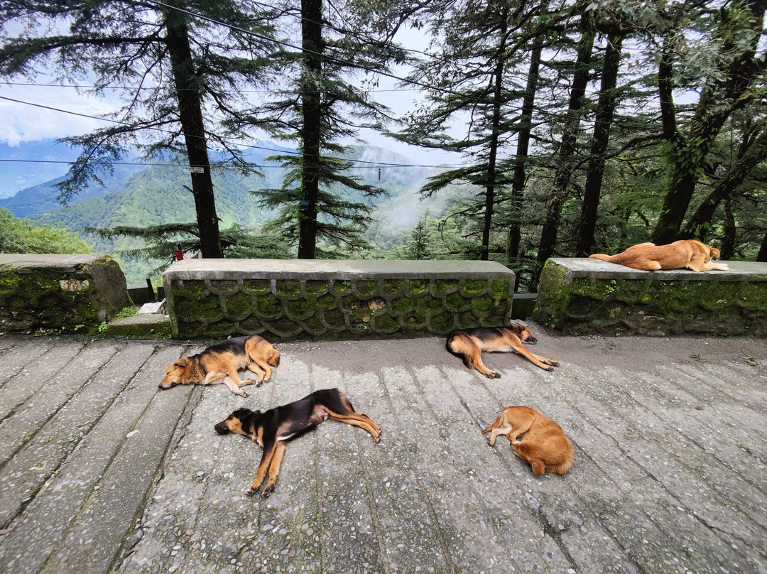 Landour-马苏里必去景点