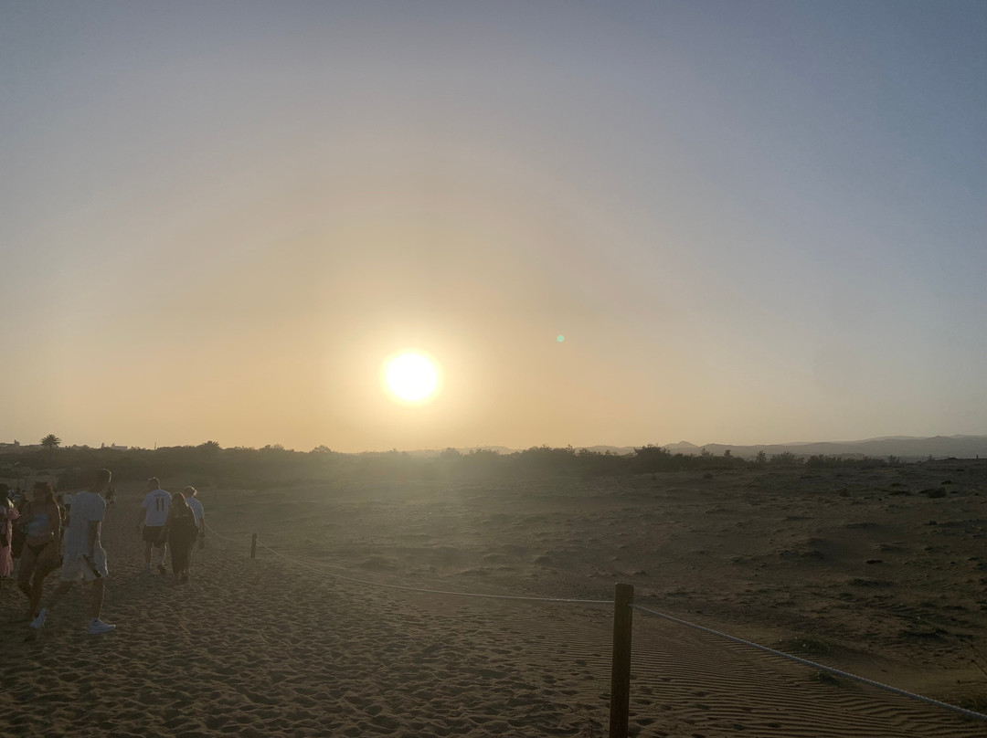 Reserva Natural Especial de Las Dunas de Maspalomas-马斯帕洛马斯必去景点