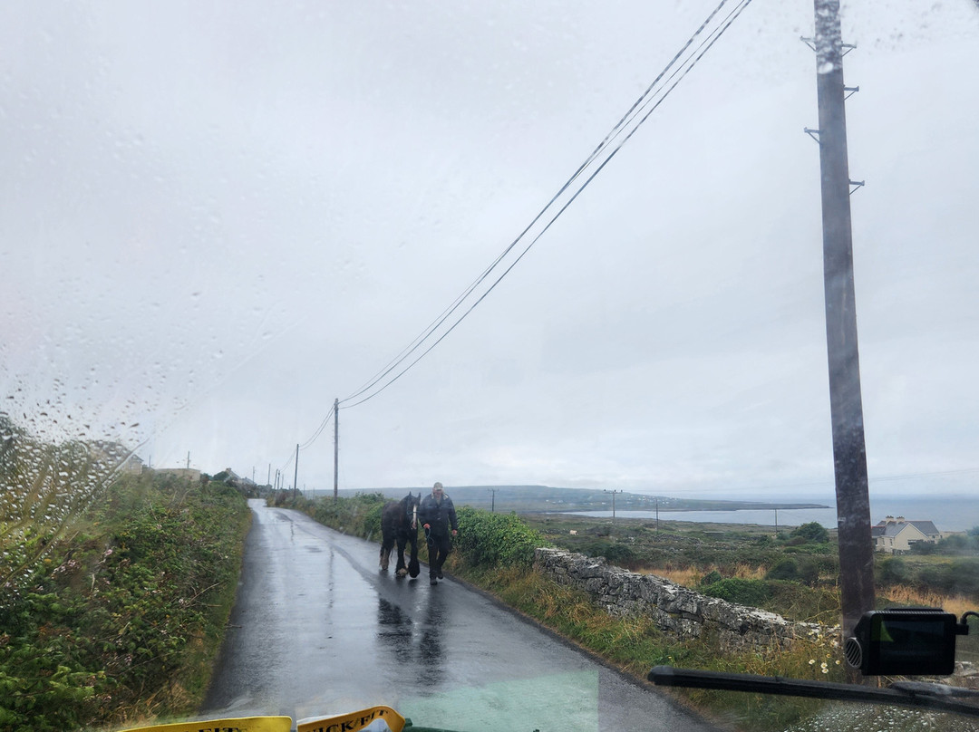 Failte Bus Tour-Inishmore必去景点
