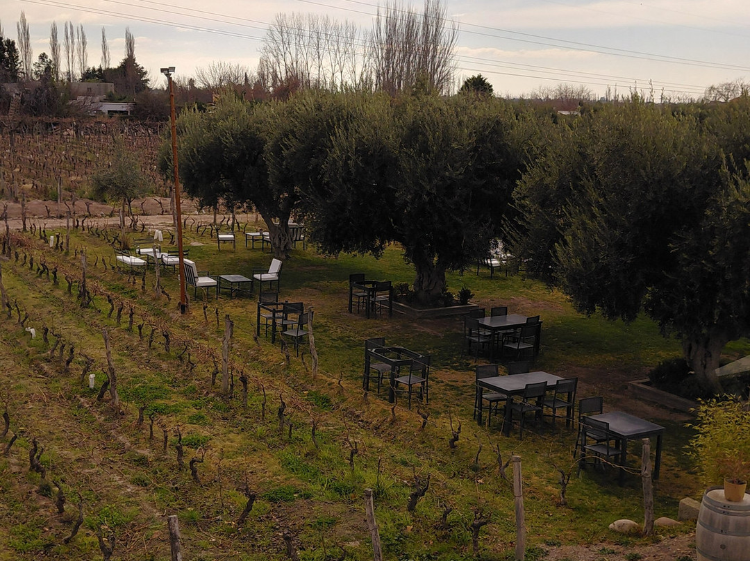 Bodega Roberto Bonfanti-路冉得库约必去景点