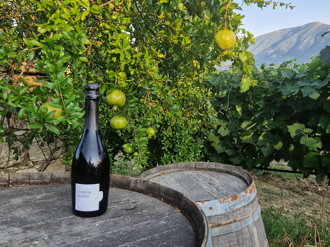 Sapentia Wine - L'Eredità del Vino-Guardia Sanframondi必去景点