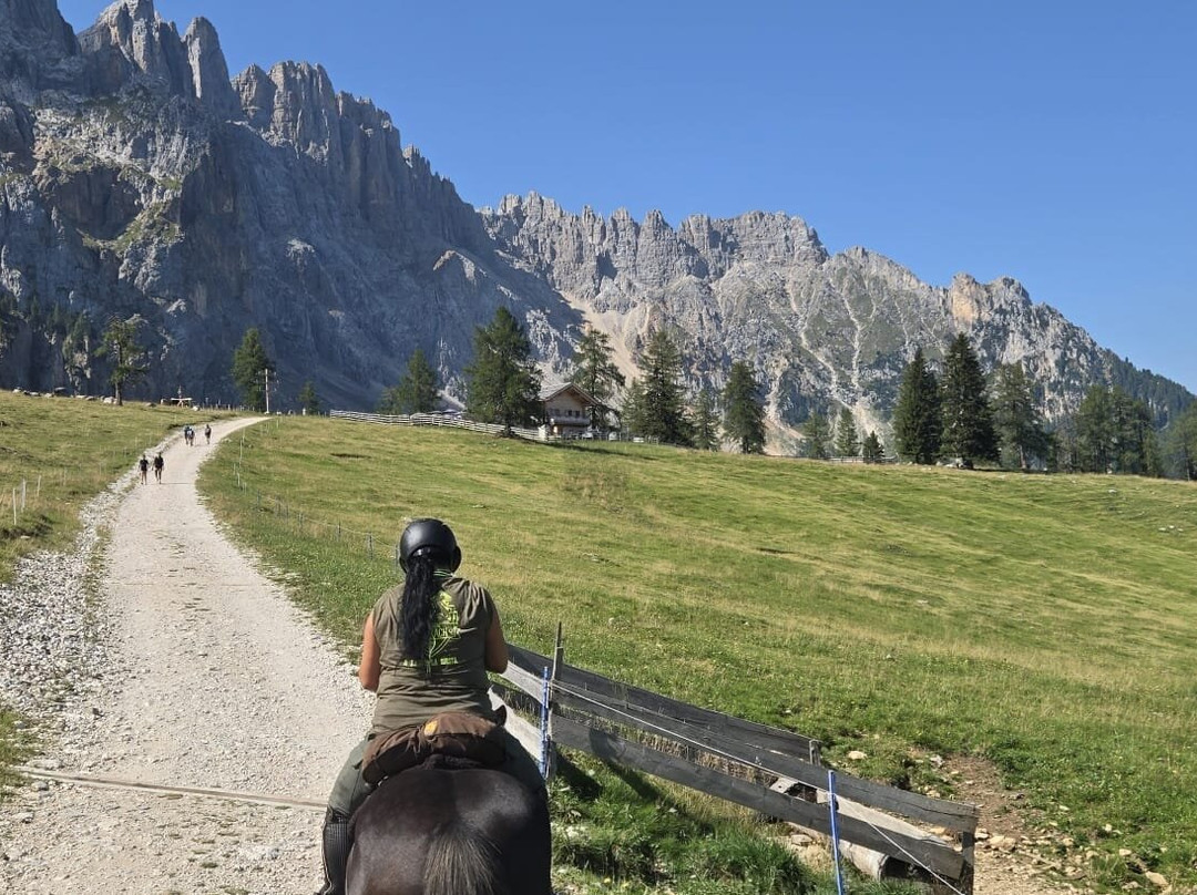 Reitzentrum Angerle Alm-诺瓦莱万泰必去景点