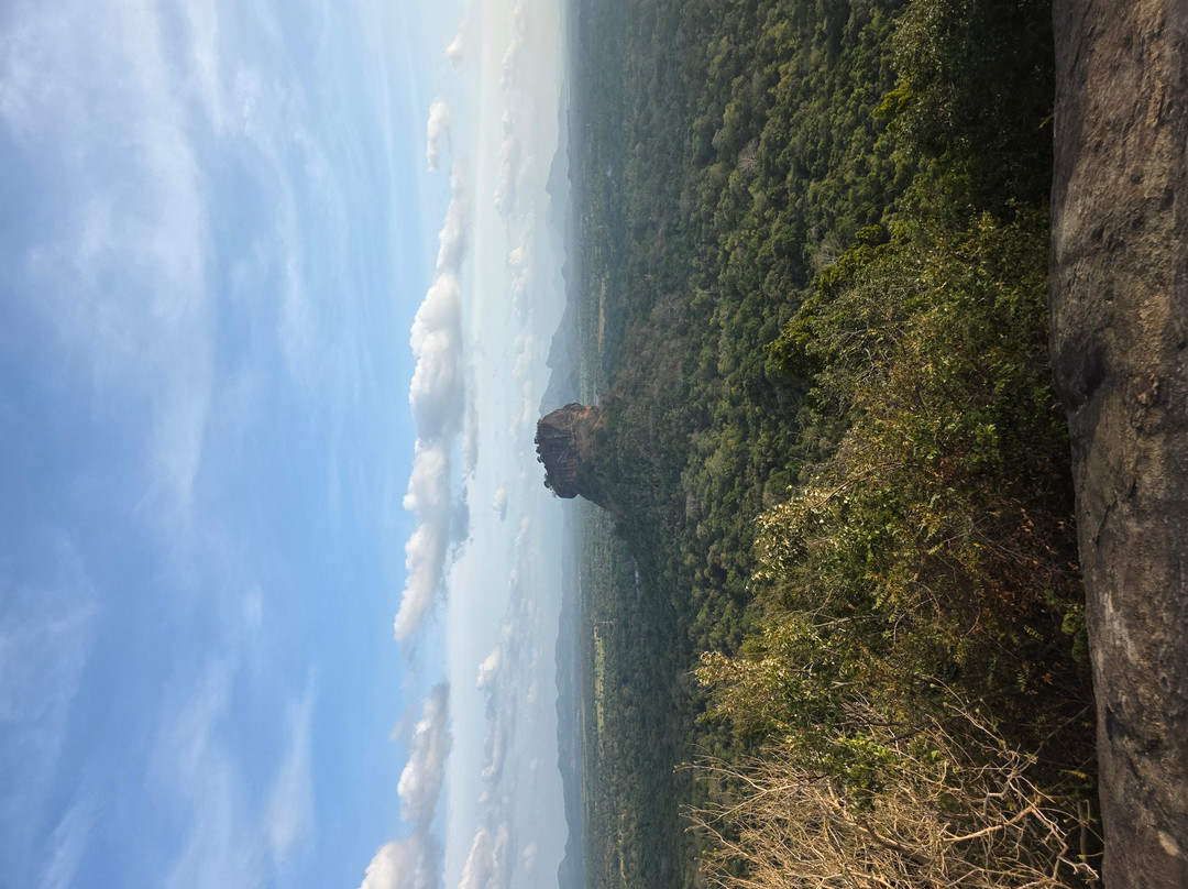 Driver in Sri Lanka-科伦坡必去景点