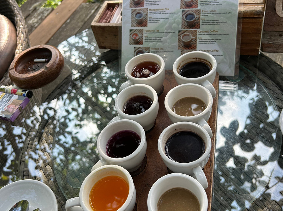 Bali Pulina Coffee Plantation-吉安雅必去景点