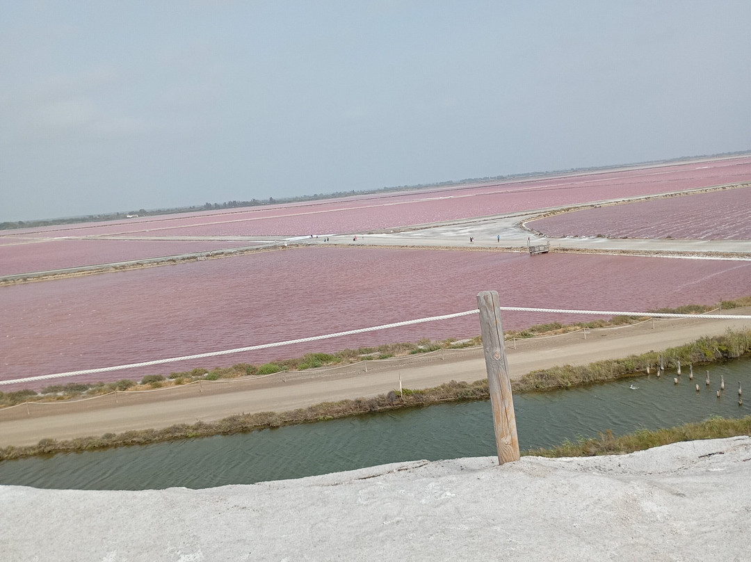 Salin d'Aigues-Mortes-艾格莫尔特必去景点