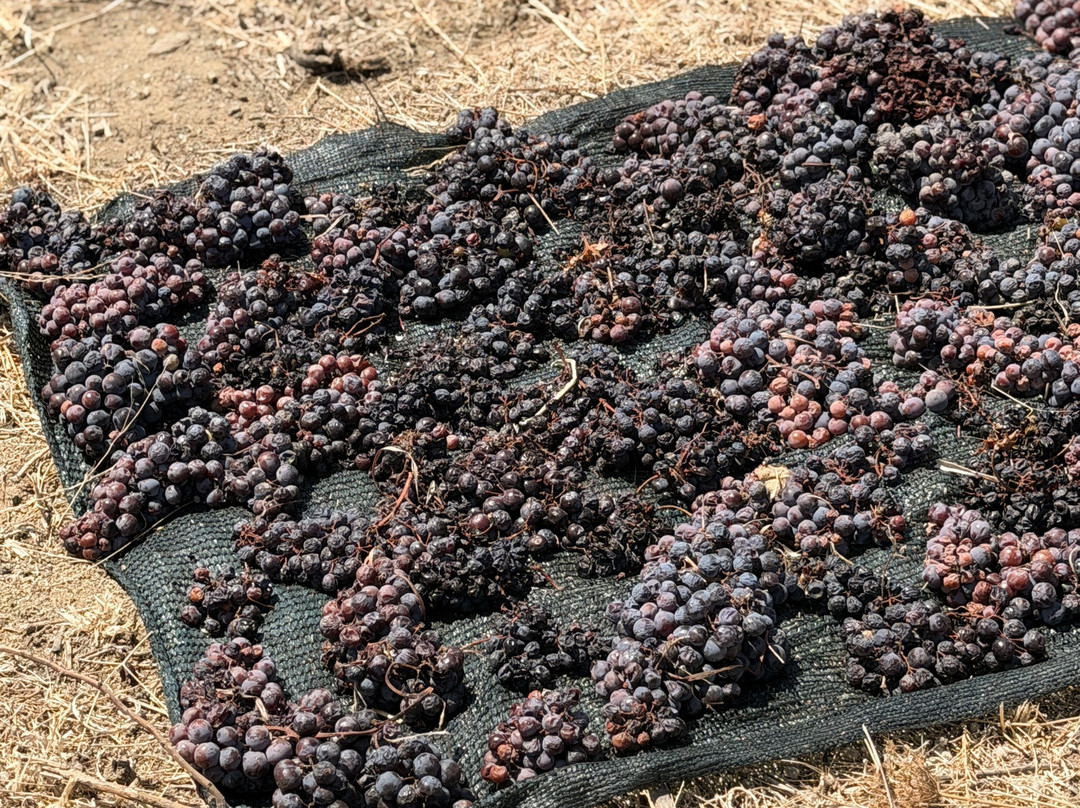 Mykonos Vioma Organic Farm-阿诺梅拉村必去景点