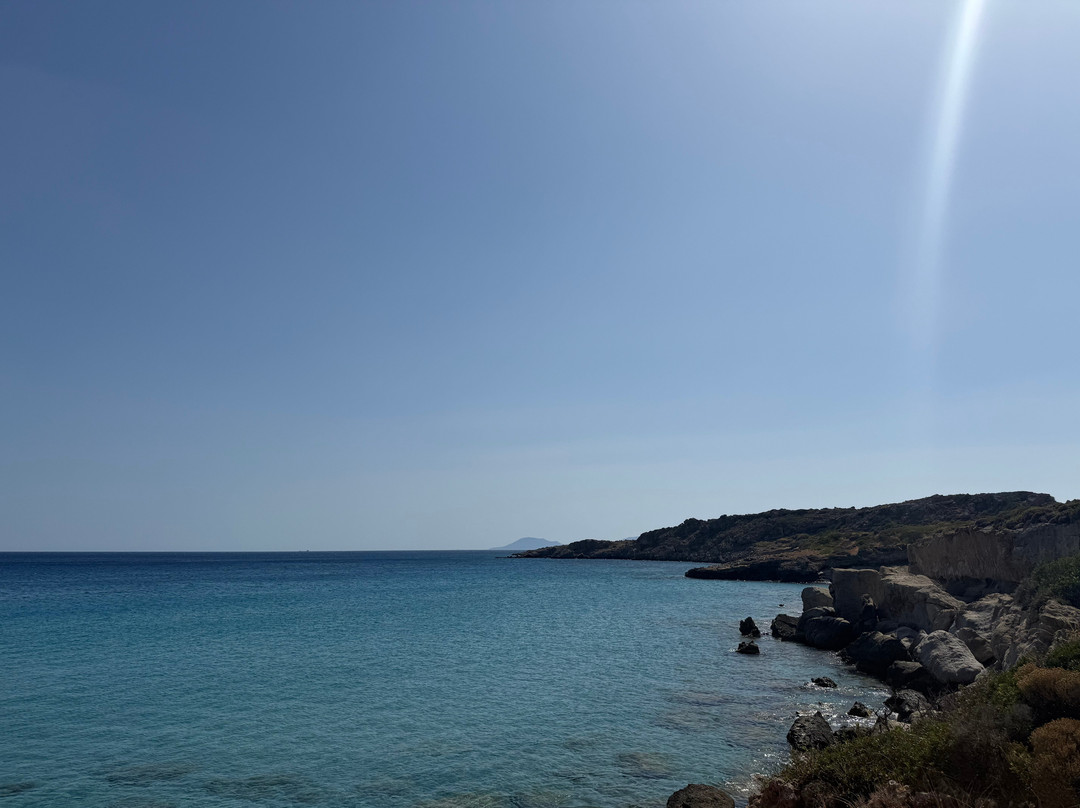 Petrified Forest-Agios Nikolaos必去景点
