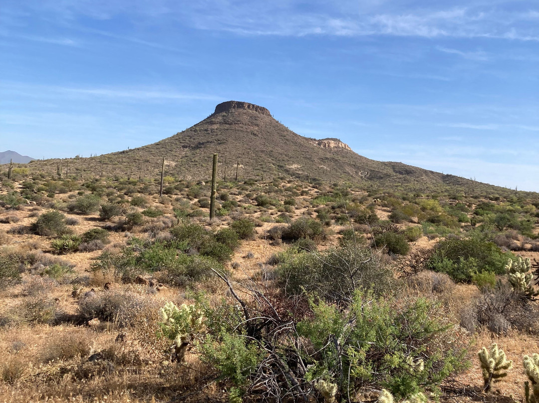 McDowell Sonoran Preserve-斯科茨代尔必去景点
