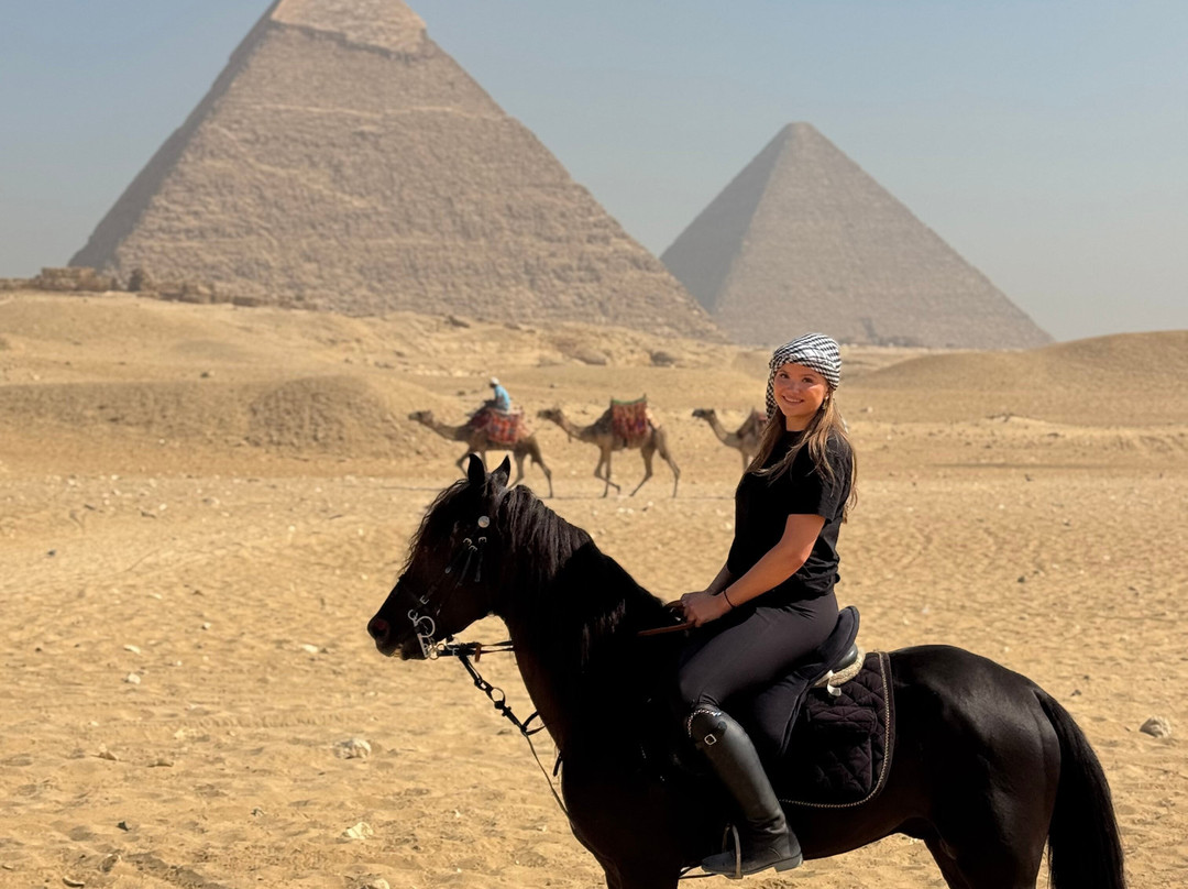 Horse Trips Egypt-Tunis必去景点