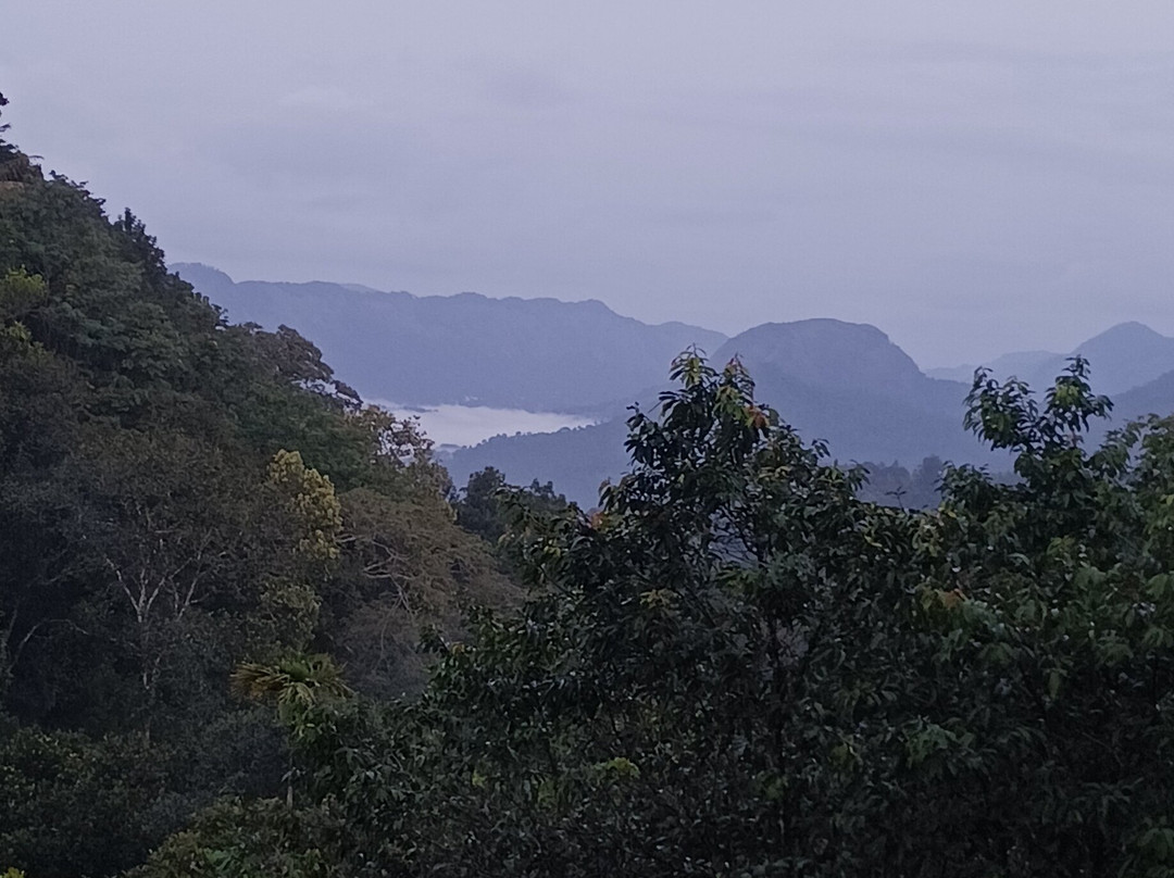 阿韦达满纳山区和雾气主图