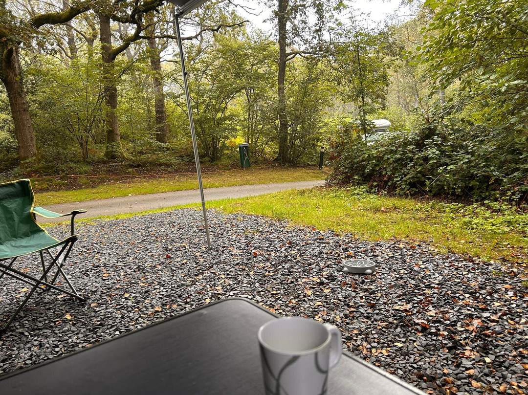 Coniston Park Coppice Caravan and Motorhome Club Campsite