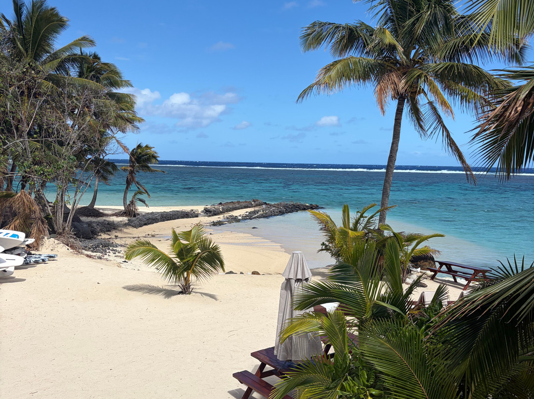 拉罗通加海滩度假村与泻湖水族馆主图
