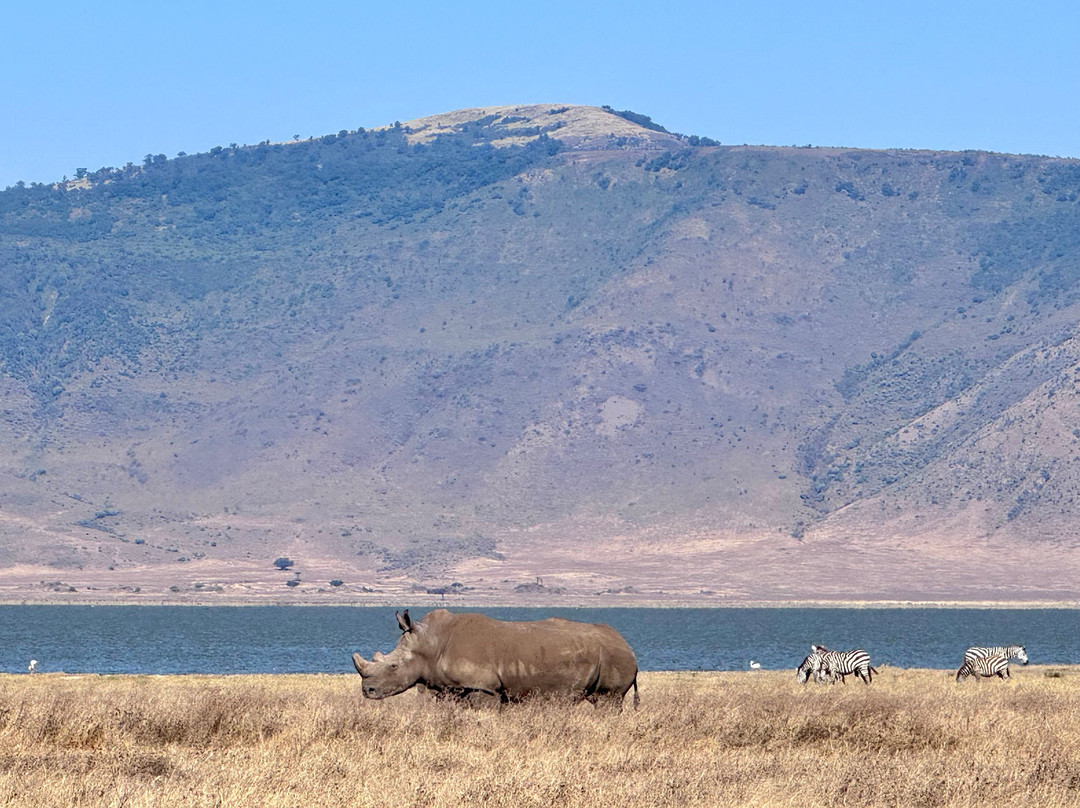 Safari Homes Tz