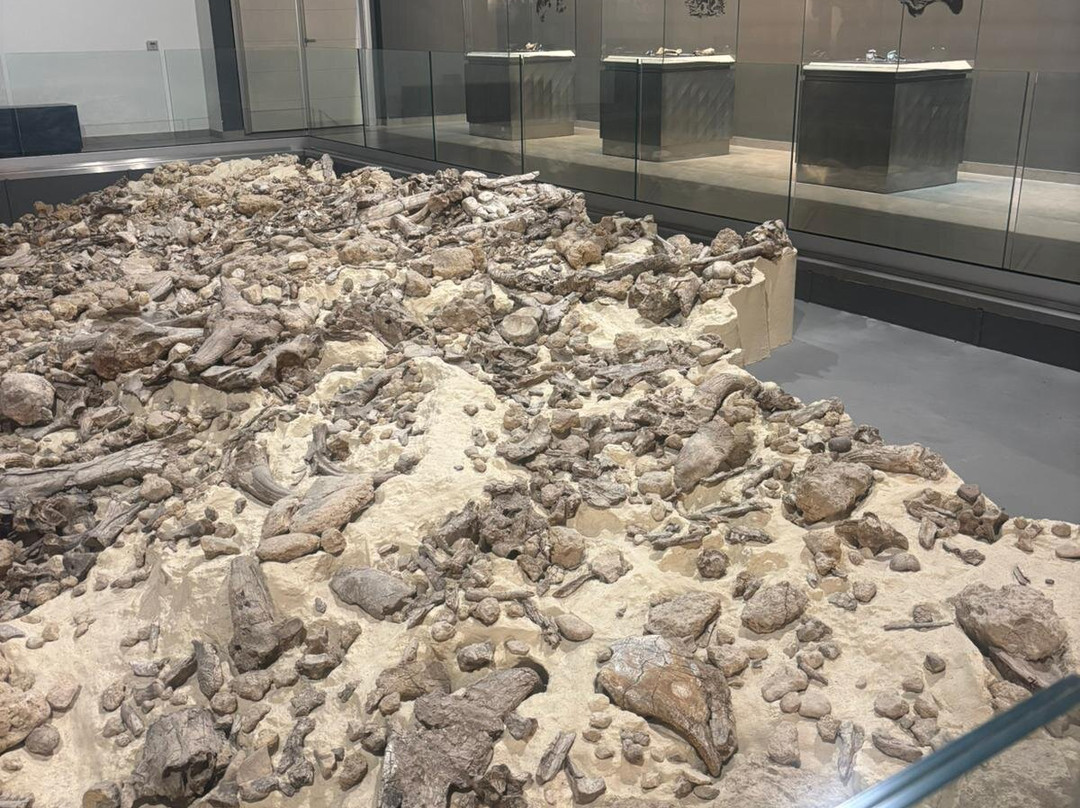 Museo Nazionale del Paleolitico-伊塞尔尼亚必去景点