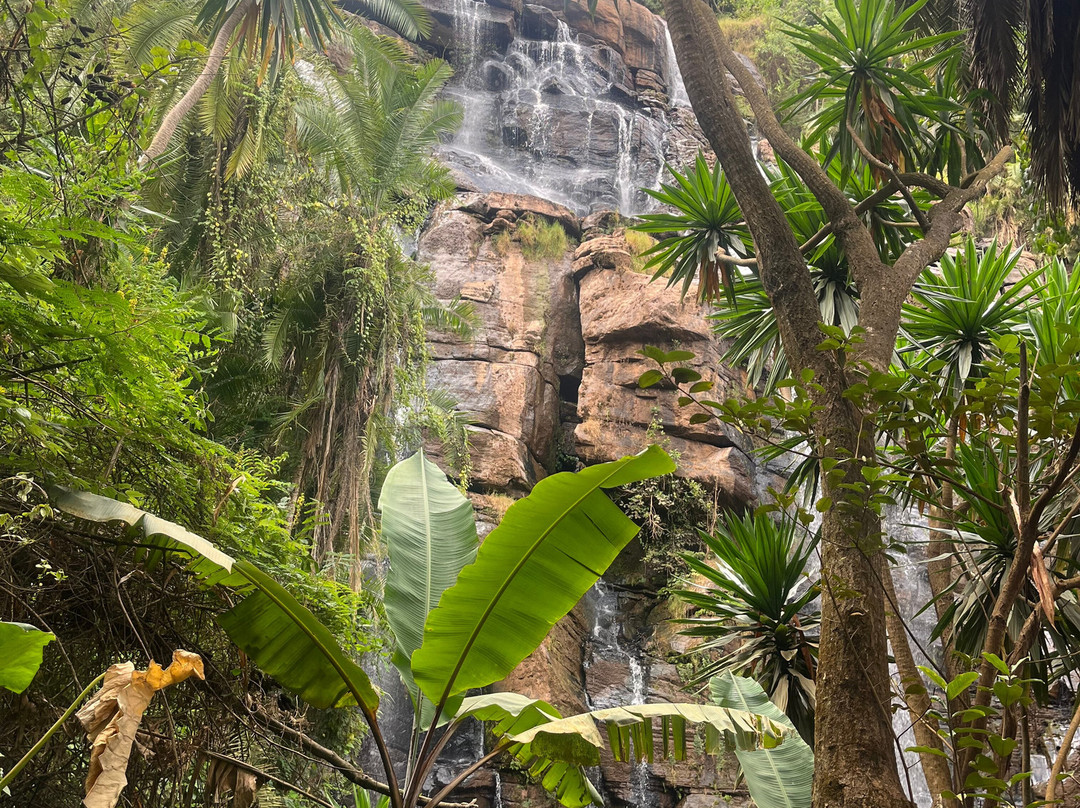 Usambara  Adventures-卢绍托必去景点