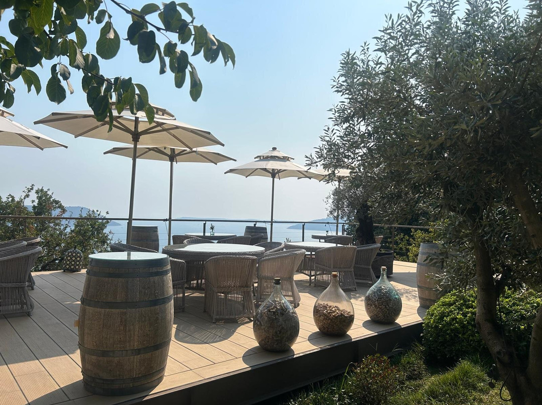 Savina Winery-赫尔采格诺维必去景点