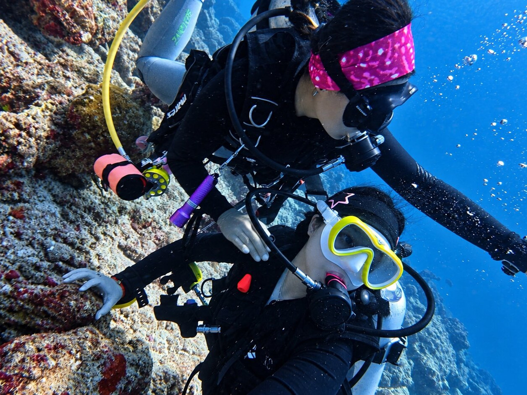Euro-Divers Club Med Kani-卡尼翡诺岛必去景点