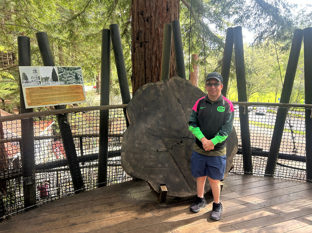 Redwoods Treewalk-罗托鲁瓦必去景点