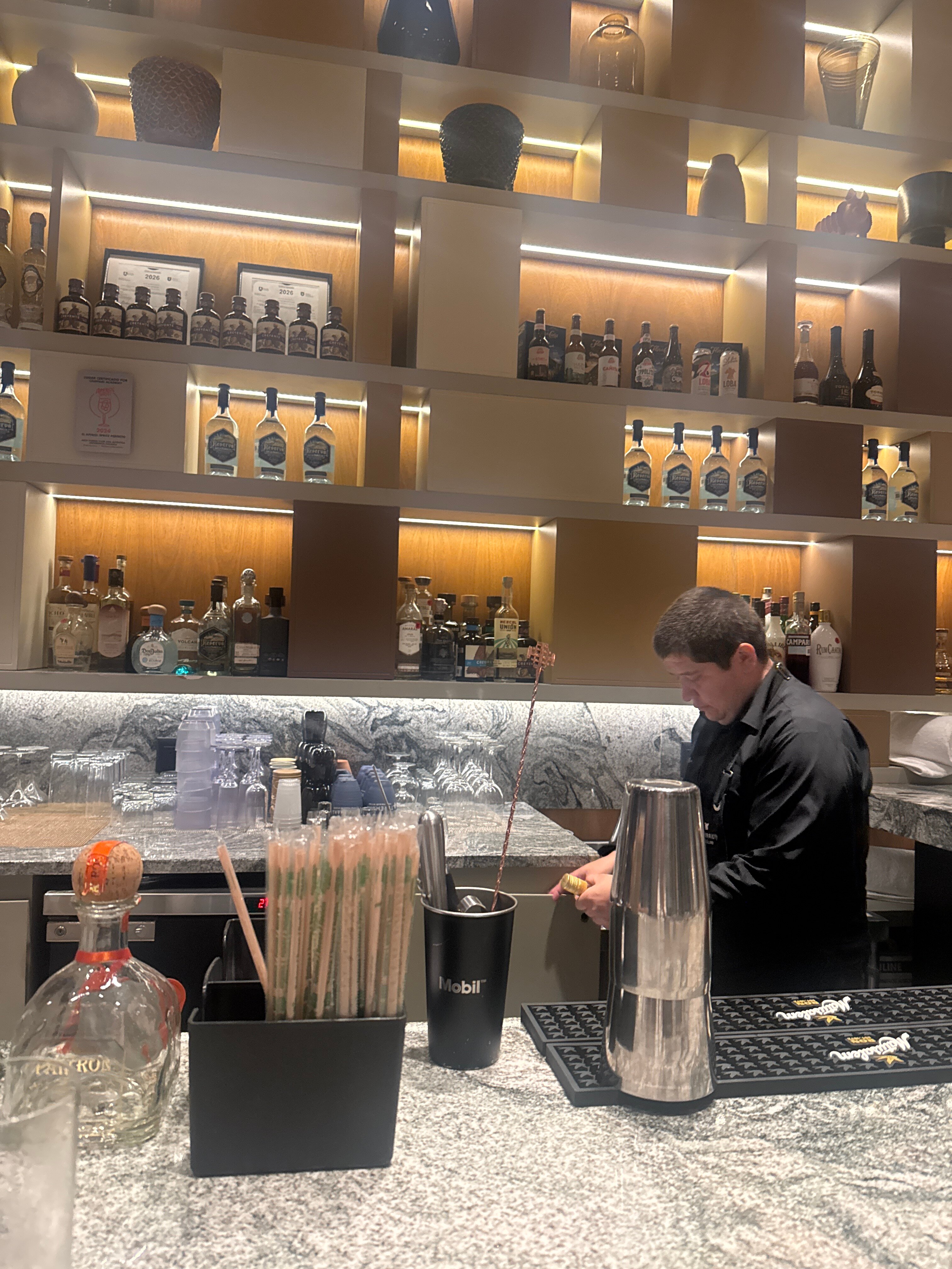 瓜达拉哈拉JW万豪酒店-旅行者