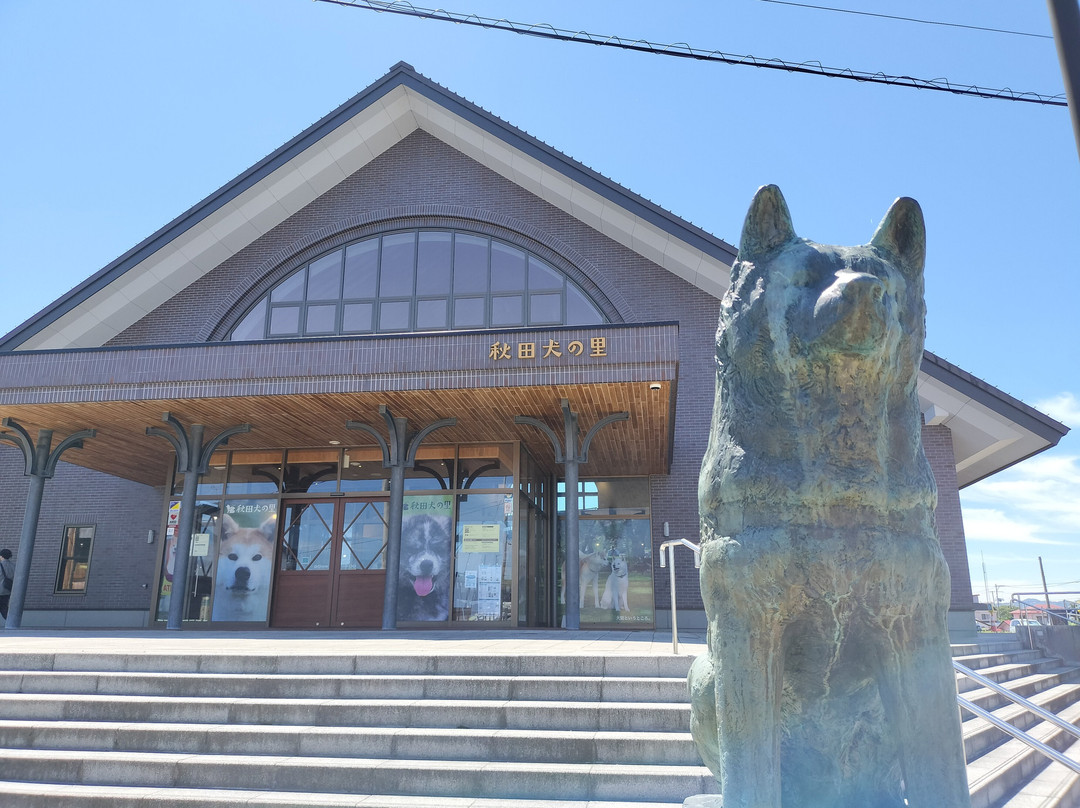 Akita Inu no Sato-大馆市必去景点