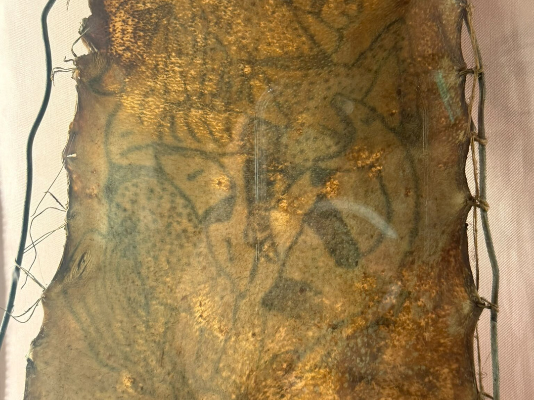 MUSA - Museo Universitario delle Scienze e delle Arti-那不勒斯必去景点