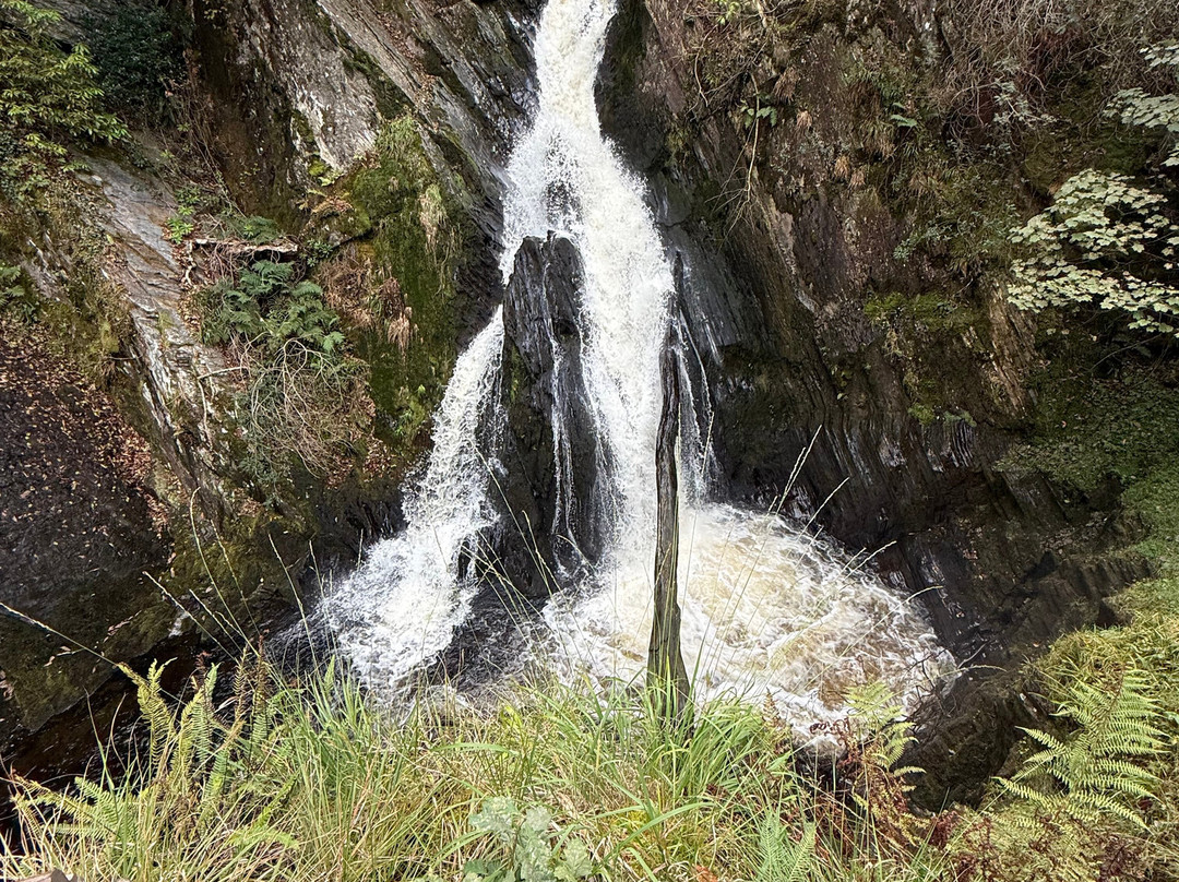Devil's Bridge Waterfalls-Devil's Bridge (Pontarfynach)必去景点