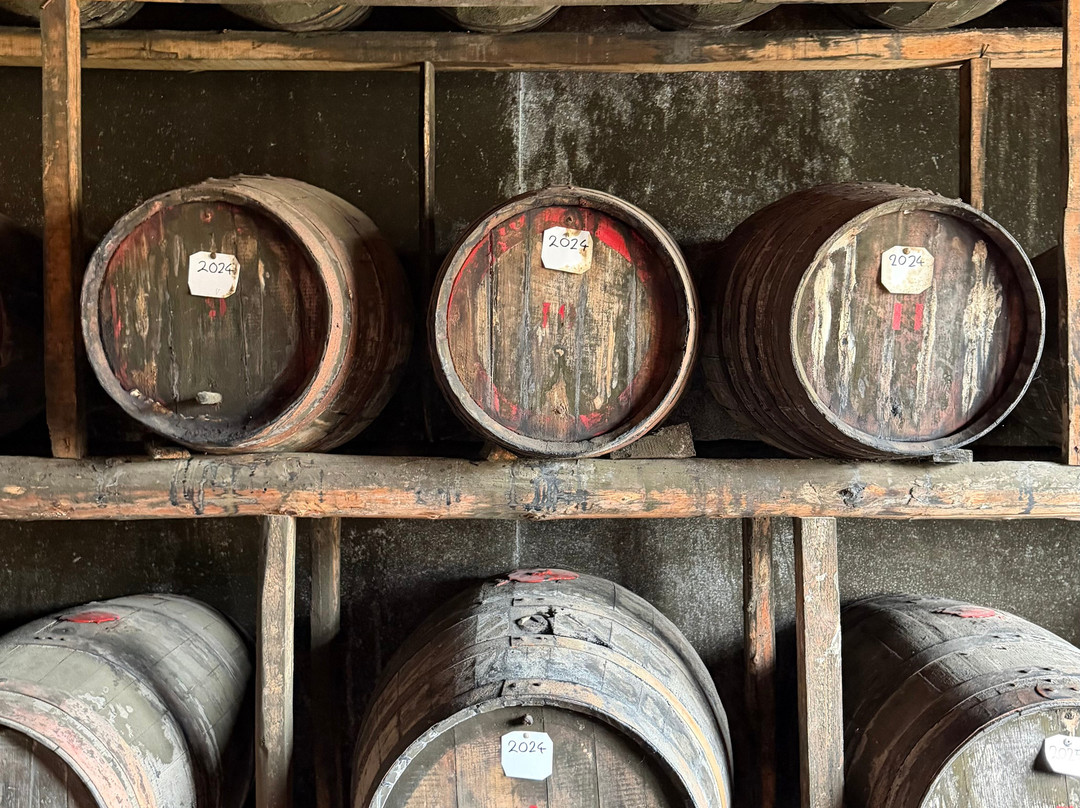 Fattoria Santa Vittoria-Foiano della Chiana必去景点