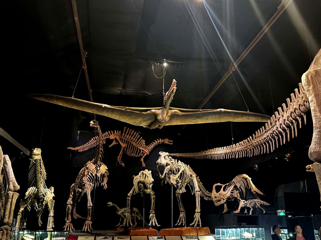 A World of Dinosaurs-卡尔马必去景点