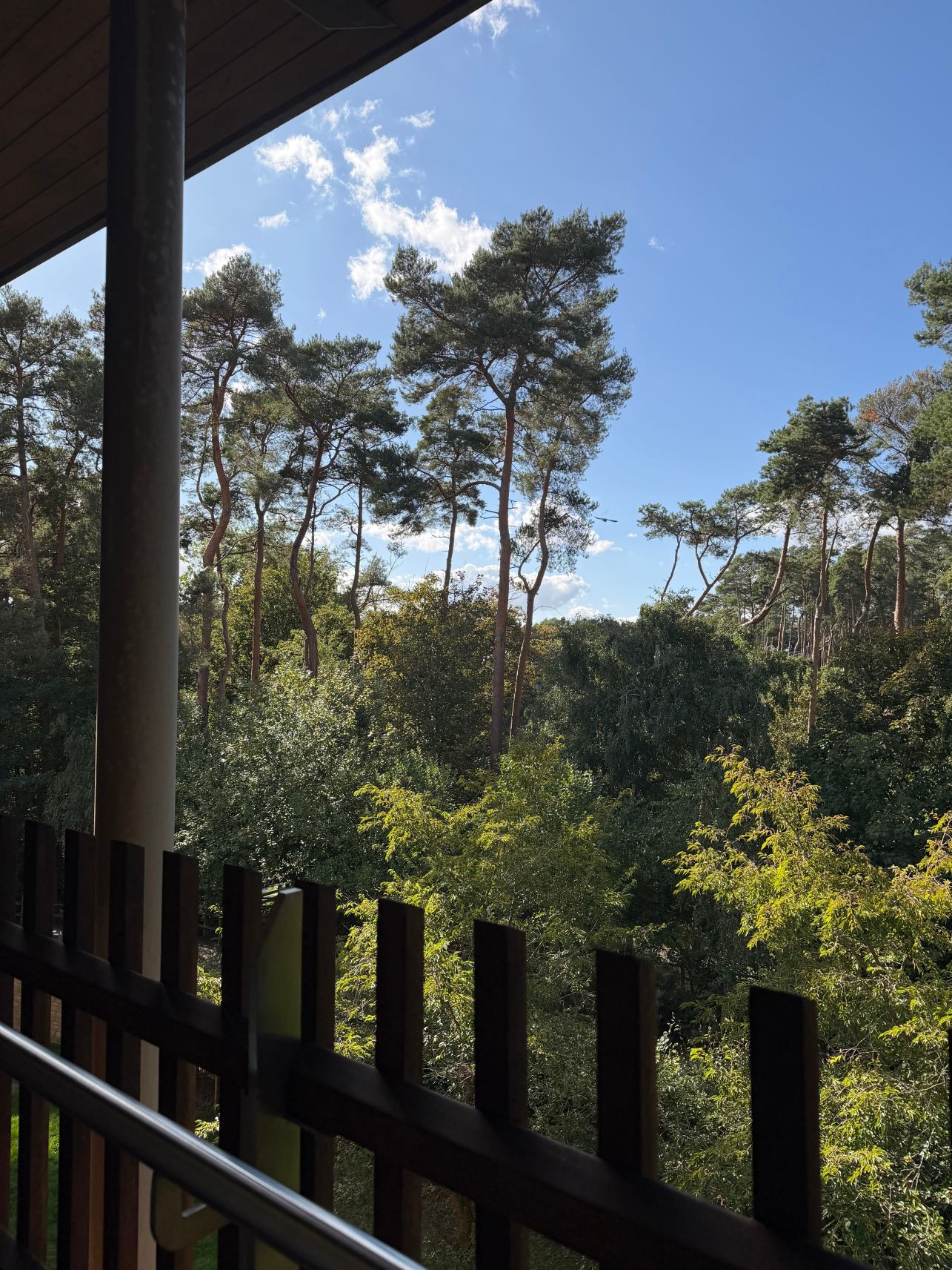 Center Parcs Woburn Forest-旅行者
