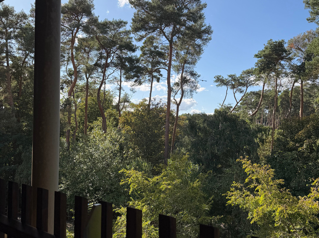 Center Parcs Woburn Forest主图