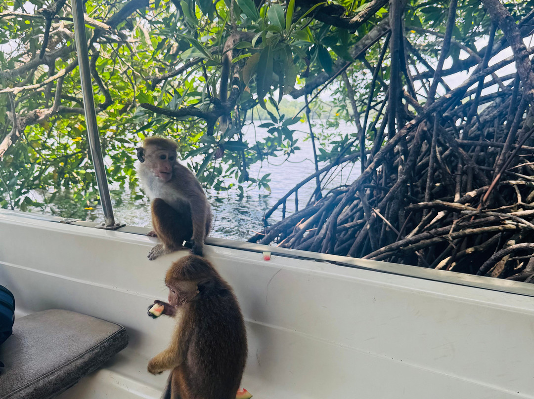 Koggala Lake Boat Safari & Kayak Adventure with Malish-克拉必去景点