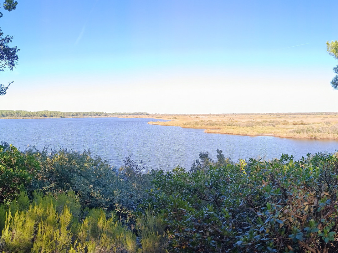 Réserve Naturelle De l'Etang De Cousseau-Lacanau-Ocean必去景点