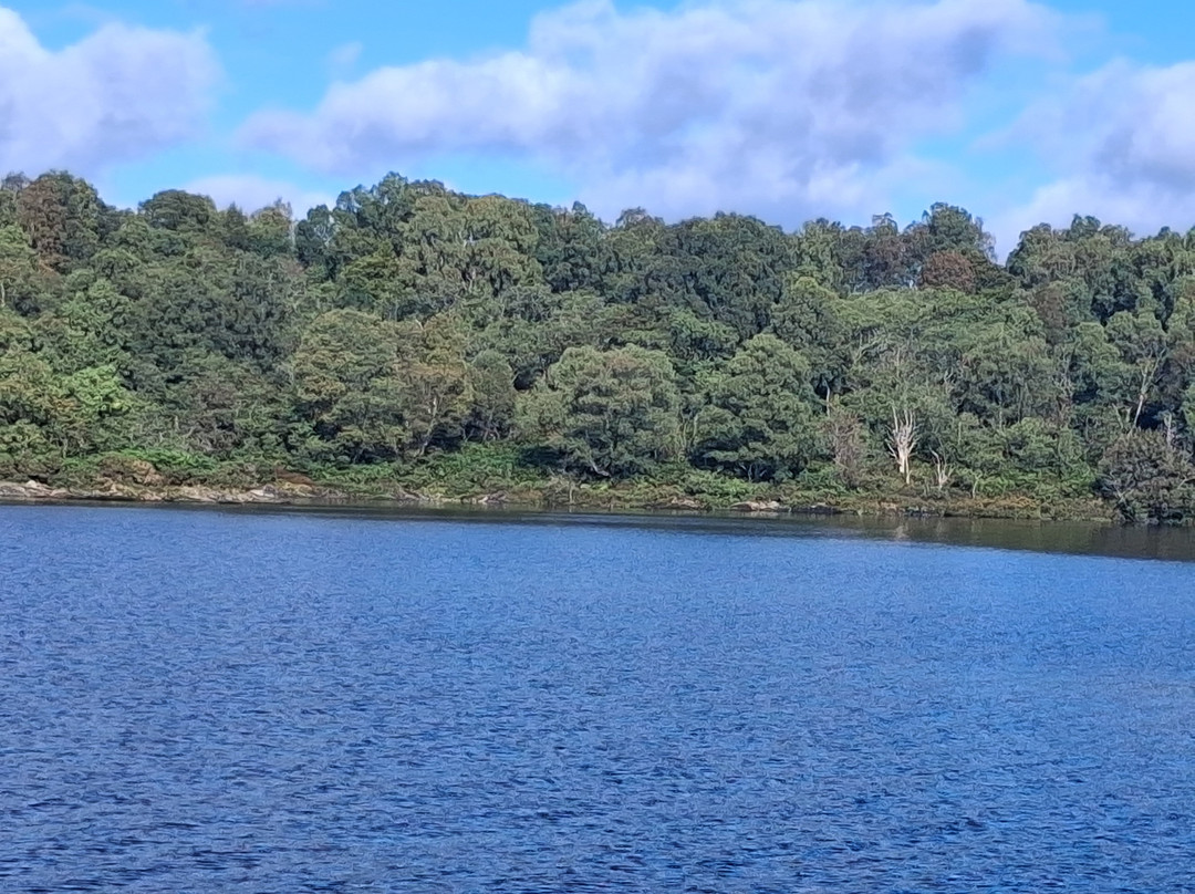 Cruise Loch Lomond-Balmaha必去景点