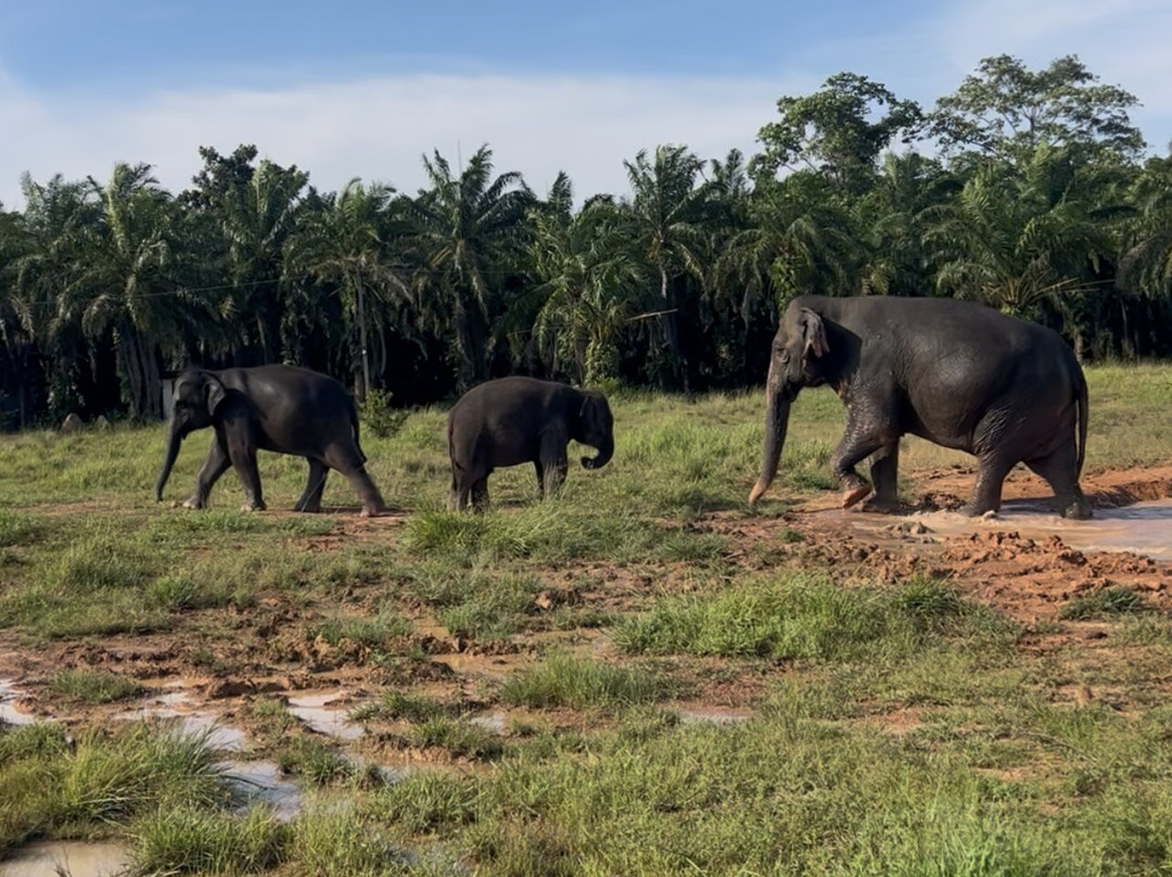 Following Giants - Krabi-Khlong Hin必去景点