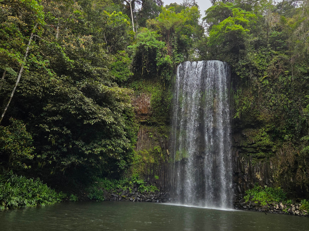 Millaa Millaa Falls-Millaa Millaa必去景点