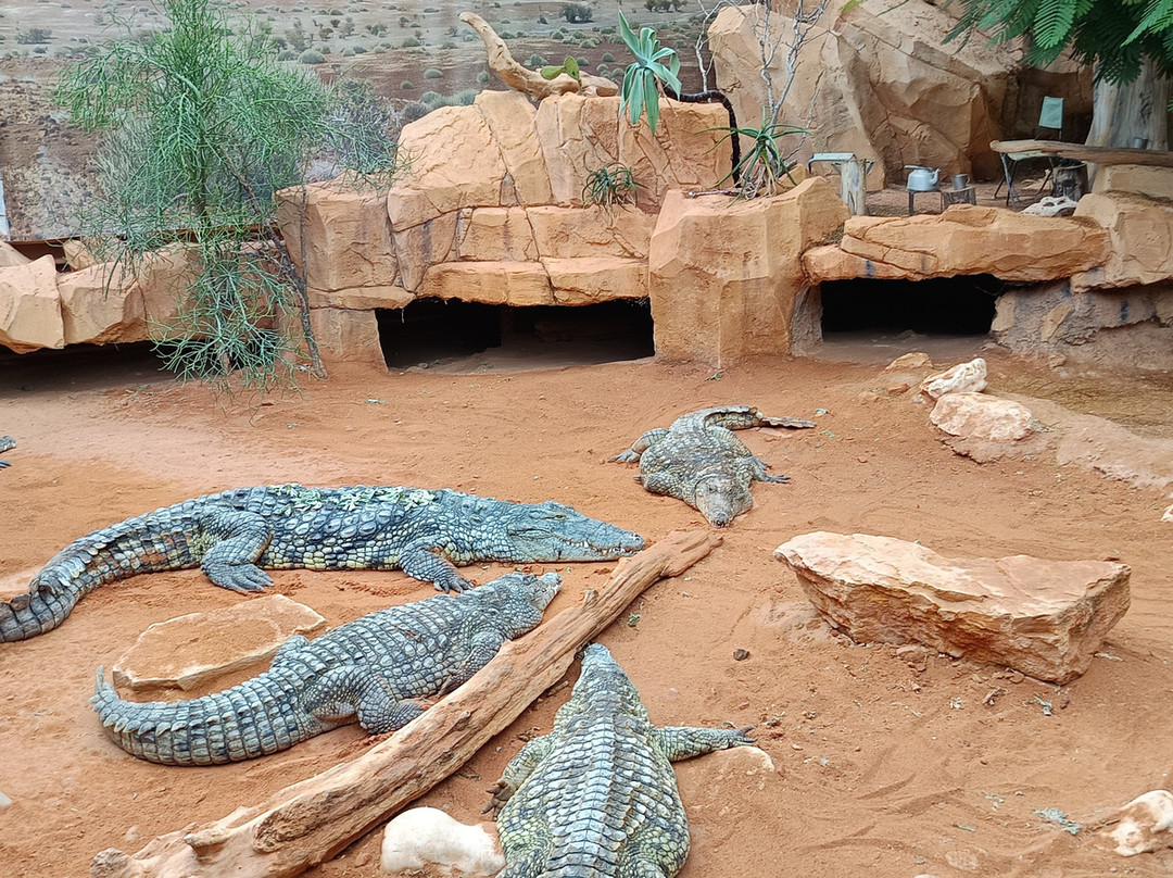 La Ferme Aux Crocodiles-Pierrelatte必去景点