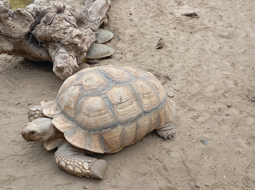 Izmir Wild Life Park-伊兹密尔必去景点