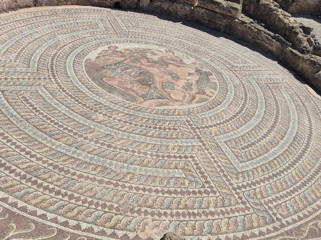Kato Paphos Archaeological Park-帕福斯必去景点