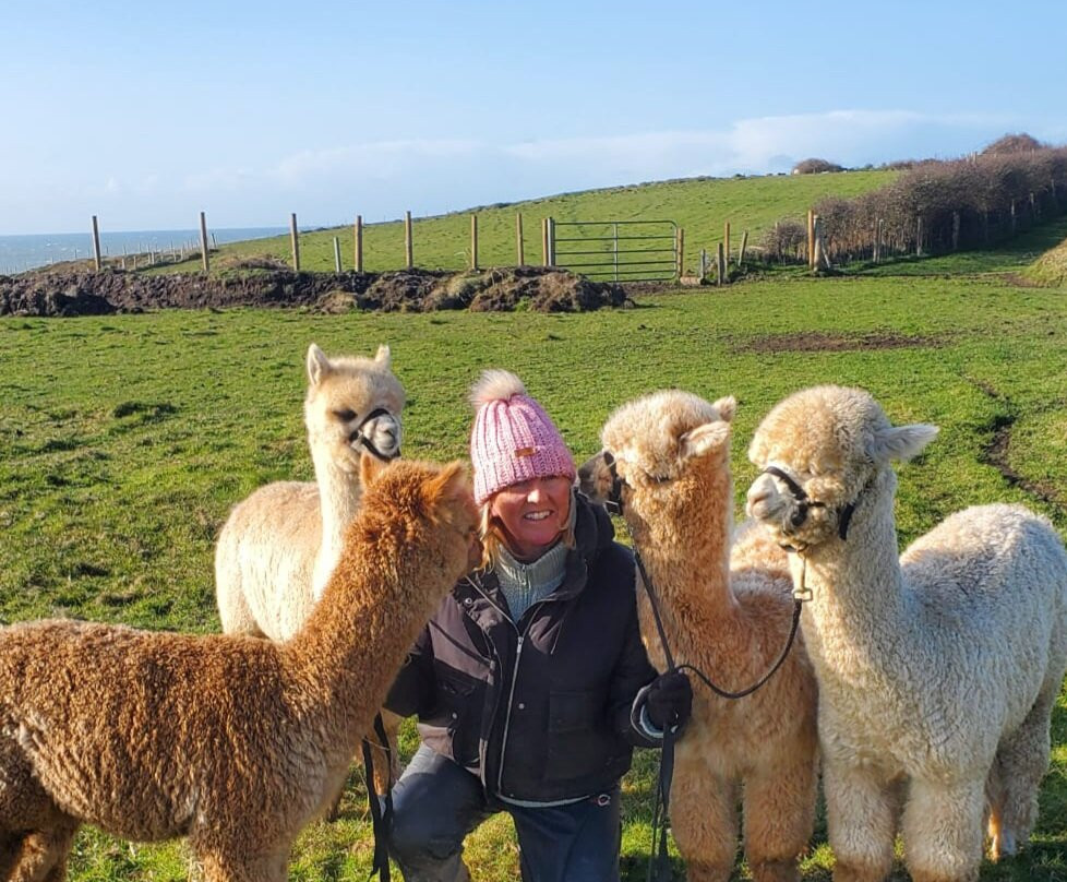 Portally Alpaca Trail-Dunmore East必去景点