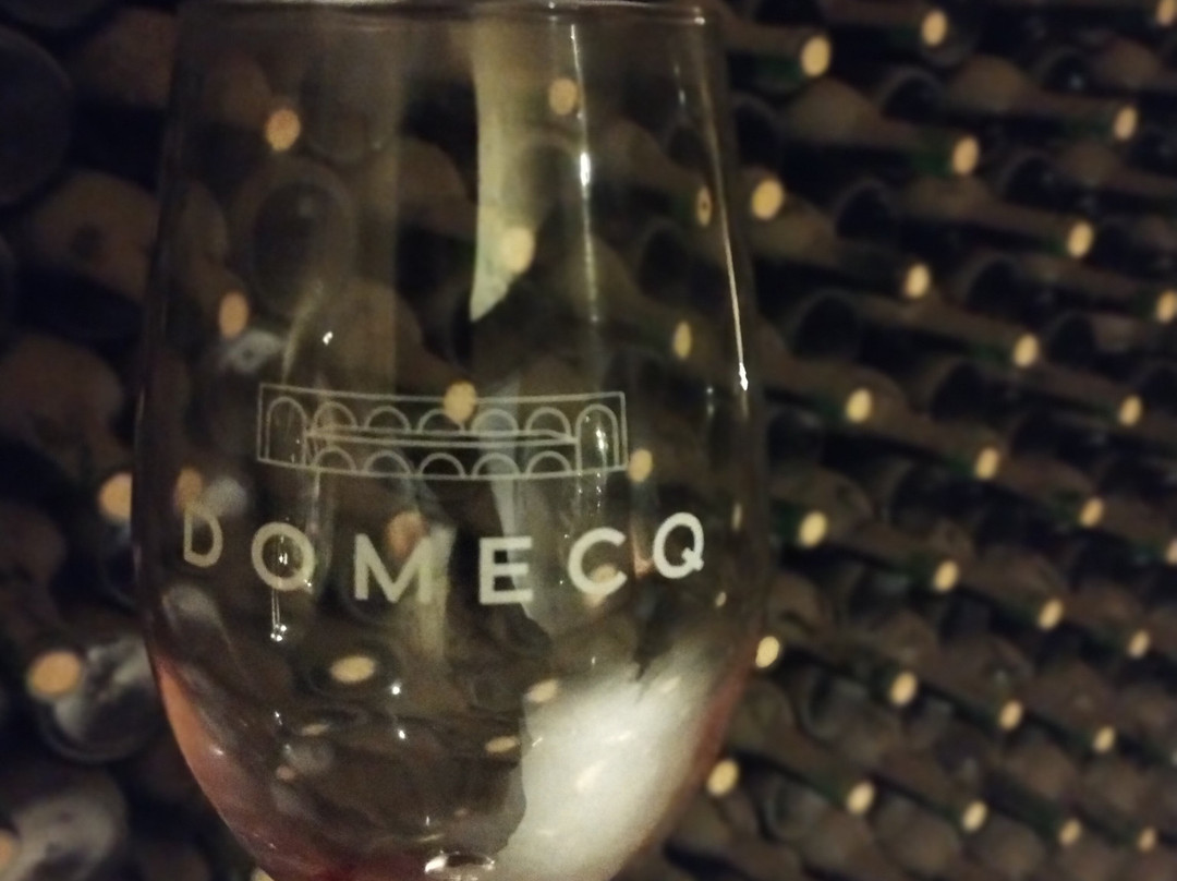 Bodegas Domecq-恩塞纳达必去景点