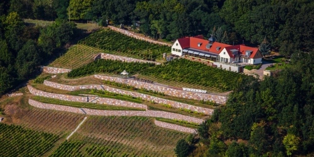 Pension im Winzerhof Golk