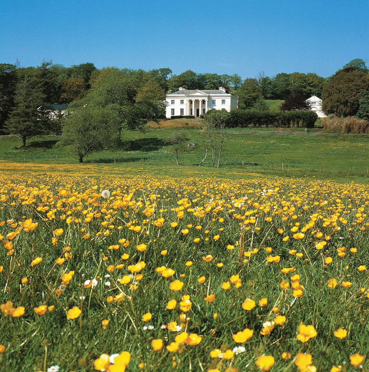 Best Western Lamphey Court Hotel & Spa-官方