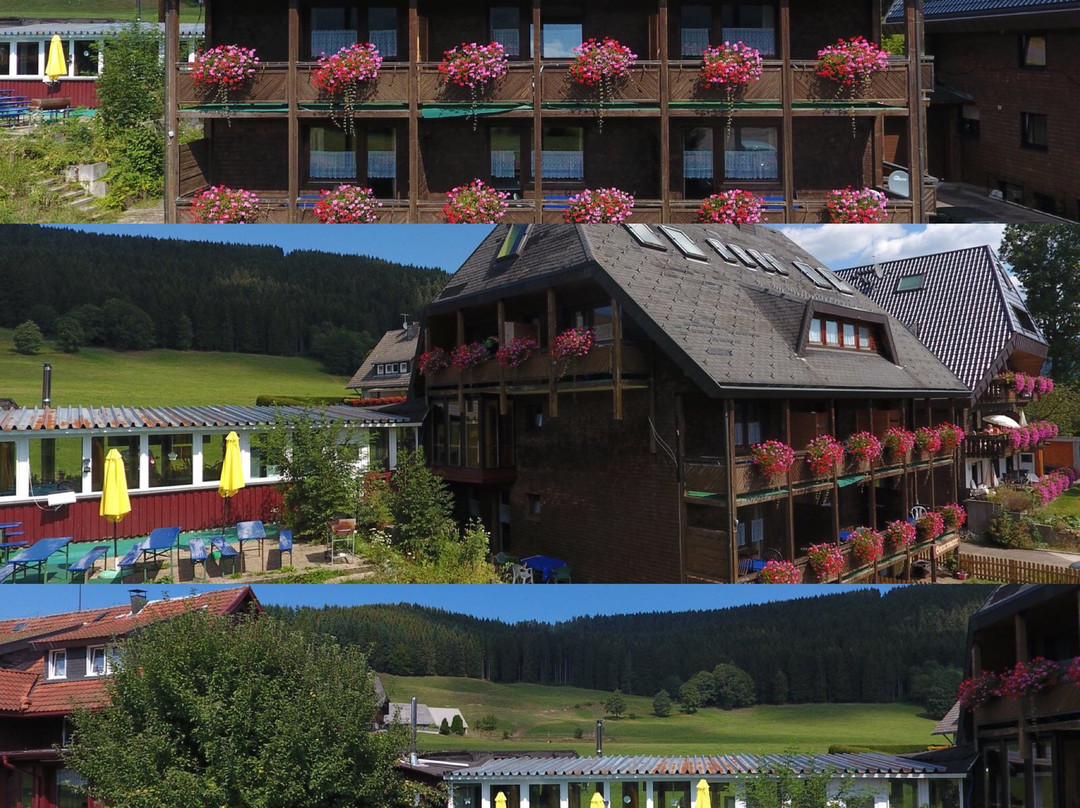 Hotel Sonnenmatte