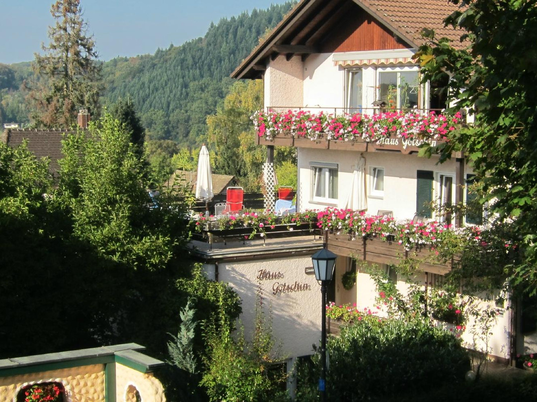 Hotel garni Haus Goetschin