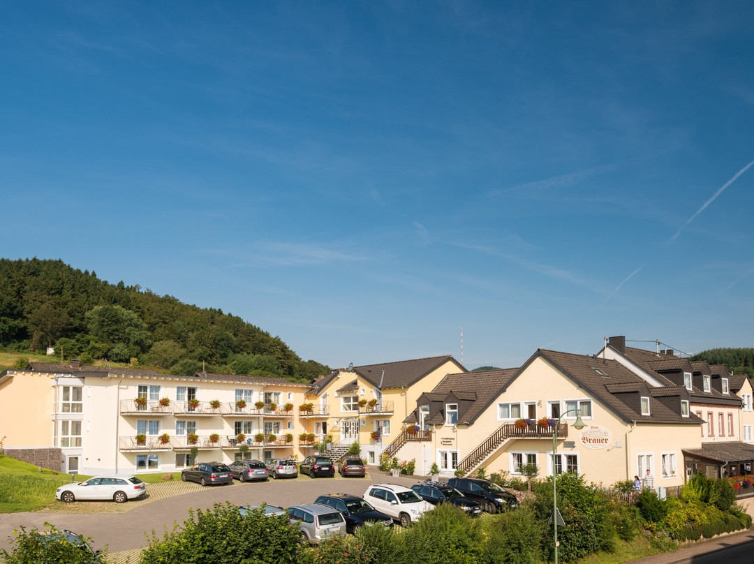 Dreis-Bruck酒店住宿-兰达尔维卡内菲旅馆