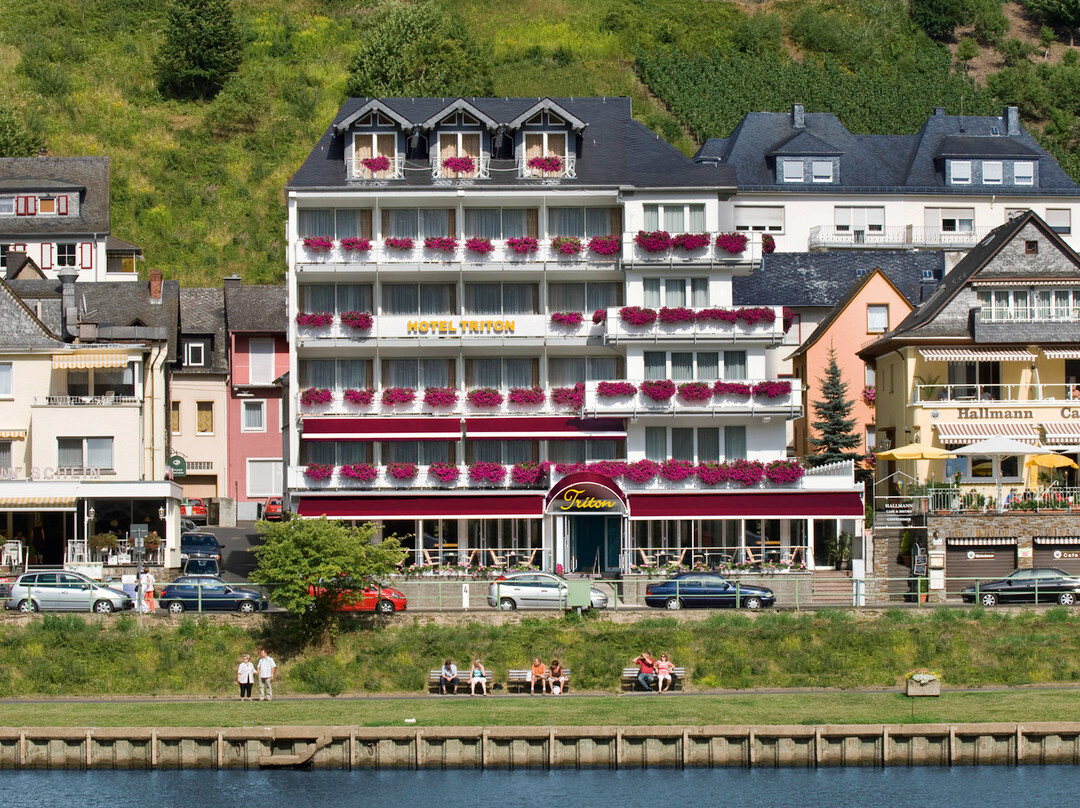 科赫姆酒店住宿-Moselstern Hotel Brixiade&Triton