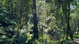Warranwood Reserve景点图片