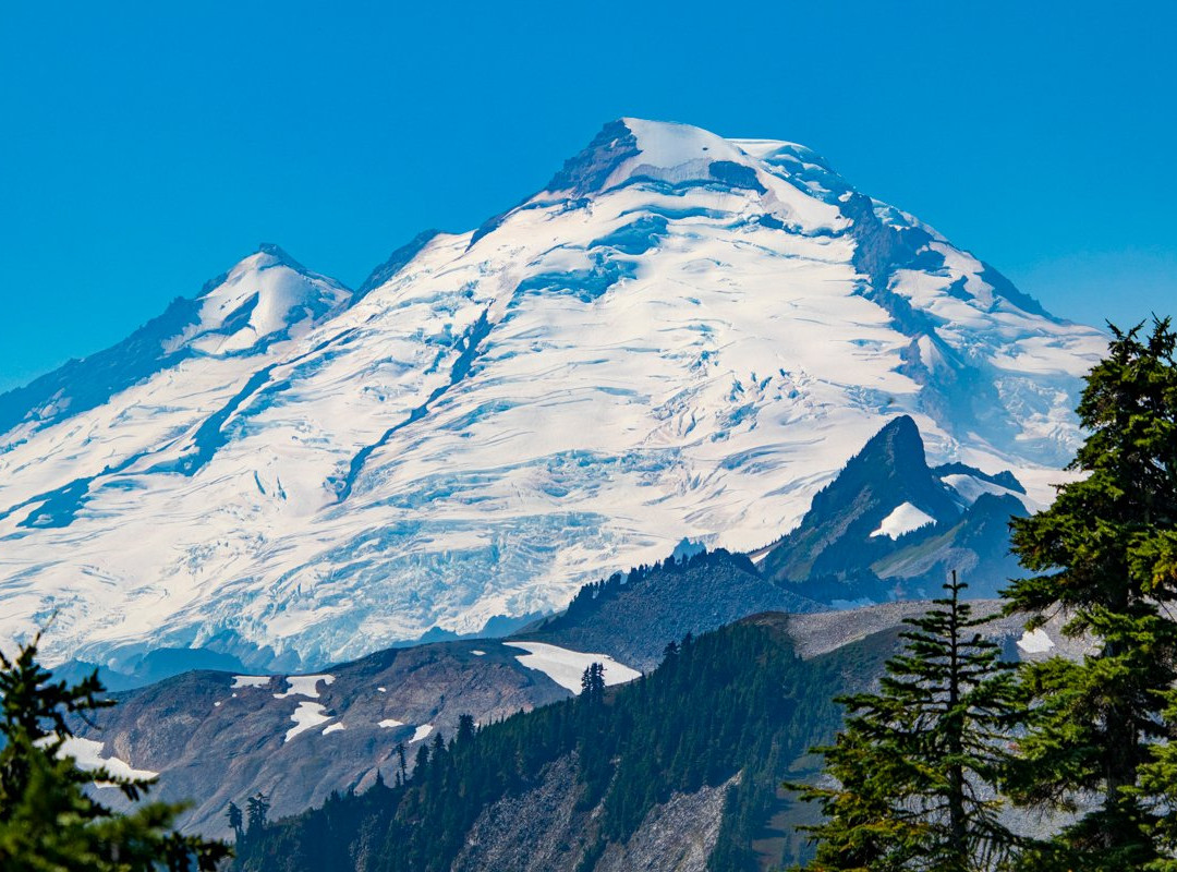 Mt Baker Ski Area景点图片